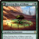 Growing Rites of Itlimoc
