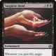 Sanguine Bond
