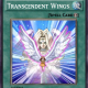 Transcendent Wings