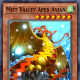 Mist Valley Apex Avian