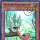 Masked Chameleon