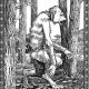 A Hidebehind