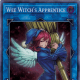 Wee Witch's Apprentice