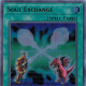 Soul Exchange