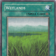 Wetlands