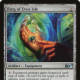 Ring of Evos Isle