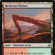 Sheltered Thicket in Magic: The Gathering