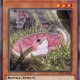 Danger!? Tsuchinoko?