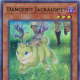 Danger!? Jackalope?