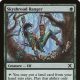 Skyshroud Ranger