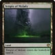 Temple of Malady mtg