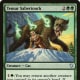 Temur Sabertooth mtg