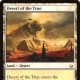Desert of the True mtg