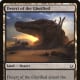 Desert of the Glorified mtg
