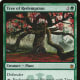 Tree of Redemption mtg