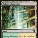 Selesnya Sanctuary mtg