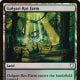 Golgari Rot Farm mtg