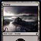 Swamp mtg