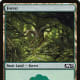 Forest mtg
