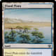 Flood Plain mtg