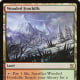 Wooded Foothills mtg
