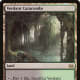 Verdant Catacombs mtg