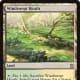 Windswept Heath mtg