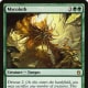 Mycoloth mtg