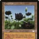 Lotus Vale mtg