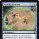 Training Grounds mtg