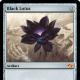Black Lotus mtg