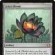 Lotus Bloom mtg