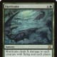 Hurricane mtg