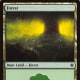 Game Night Forest
