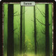 Unhinged Forest