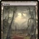 Hour of Devastation Swamp