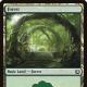 Kaladesh Forest