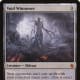 Void Winnower mtg