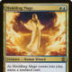 Meddling Mage mtg