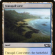 Tranquil Cove mtg
