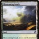 Blossoming Sands mtg