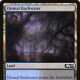 Dismal Backwater mtg
