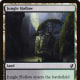 Jungle Hollow mtg