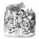 alices-animals-lewis-carroll-use-of-animals