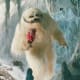 Wampa