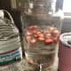 My favorite way to get my daily water.
