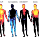 The parts of the body where people feel emotions depend on the emotion.