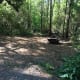 The area was pretty clear from shallow roots and over grown vegetation.