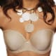 lingeropedia-illustrated-guide-to-bras-brassieres