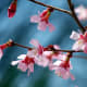 by Creativity+ Timothy Hamilton at flickr: http://www.flickr.com/photos/bestrated1/18007238/